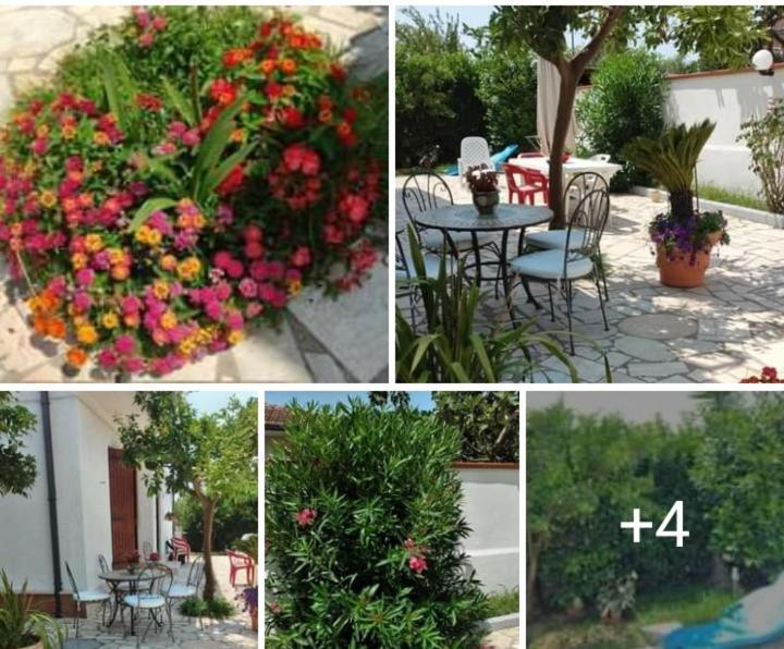 Villa Dafne Mare Fondi Sperlonga Εξωτερικό φωτογραφία